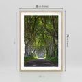Plakat w ramie 50x70 - Magiczny Las - drzewa, las - rama drewno