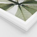 Plakat w ramie 30x40 - Jasna Zieleń w Makro - makro zdjęcie liści, jasna zieleń - rama biała