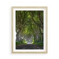 Plakat w ramie 50x70 - Magiczny Las - drzewa, las - rama drewno