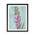 Plakat w ramie 50x70 - Piękno w delikatności - kwiaty, różowe - rama czarna