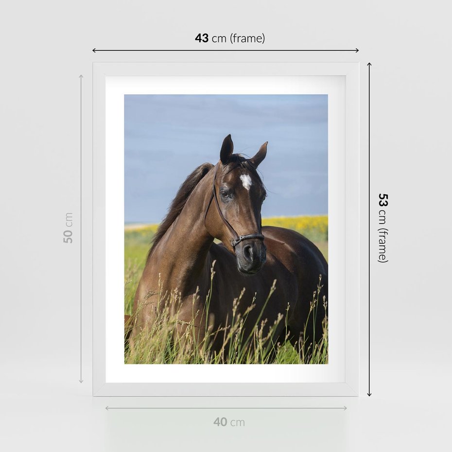 Plakat w ramie 40x50 - Siła i piękno natury - koń, łąka - rama biała