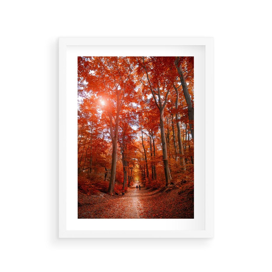 Plakat w ramie 30x40 - Magia jesiennego lasu - las, jesień - rama biała