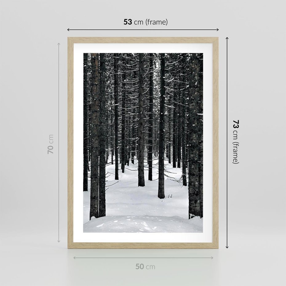 Plakat w ramie 50x70 - Zimowe Drzewa: Śnieg na Pniach - drzew w zimi, pnie drzew - rama drewno