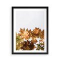 Plakat w ramie 50x70 - Suche Żółte Liście w Malowniczym Ujęciu - liście, żółte - rama czarna
