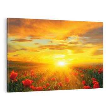 Obraz na płótnie 120x80 - Magia zachodu słońca na łące z makami - łąka, zachód słońca