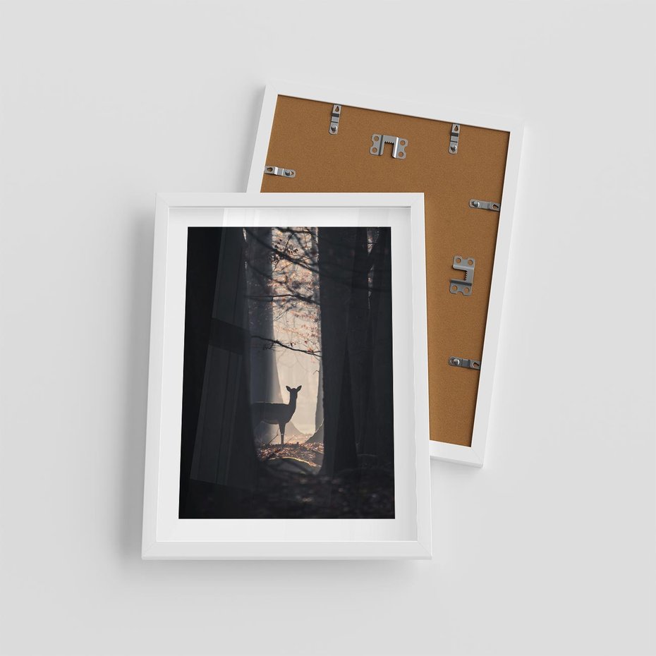 Plakat w ramie 30x40 - Sarnie Skoki - zdjęcie, klimatyczny las - rama biała