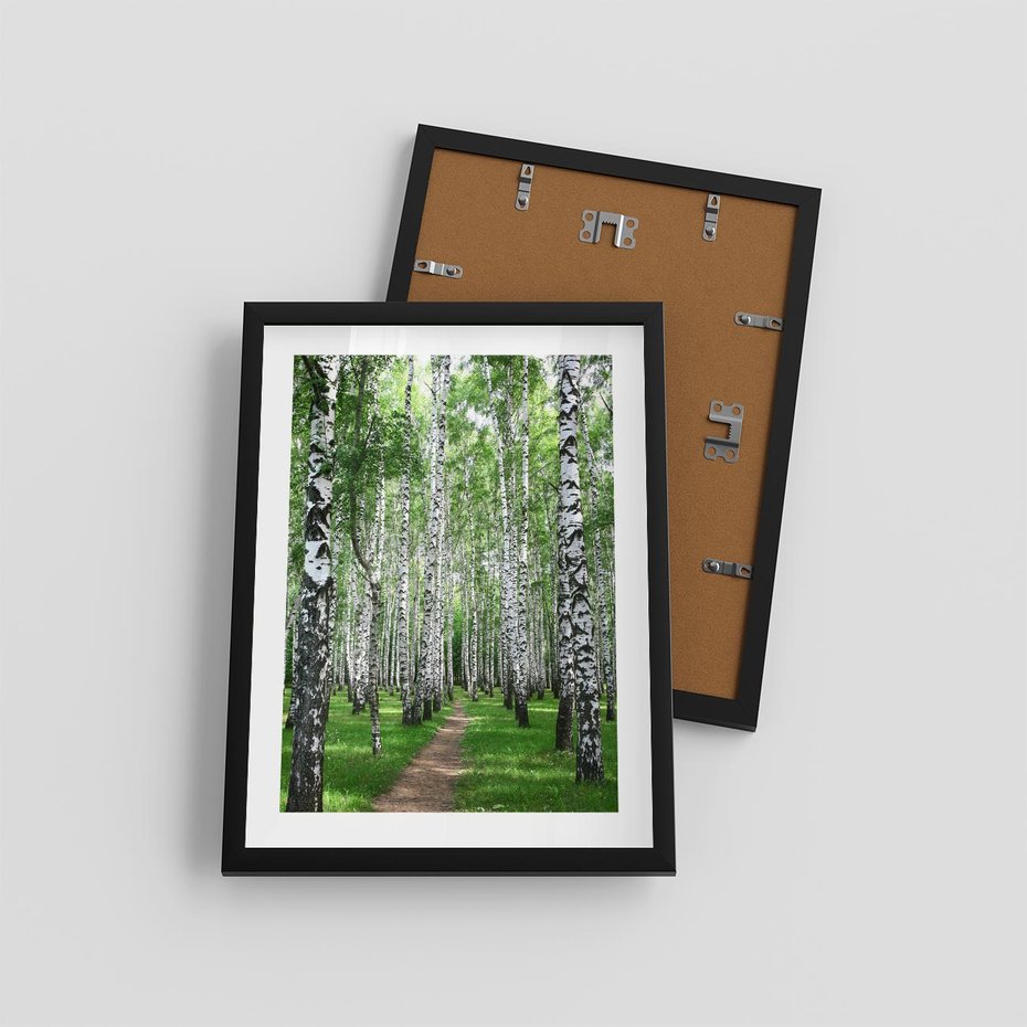 Plakat w ramie 30x40 - Magia lasu pełnego brzóz - las, brzozy - rama czarna