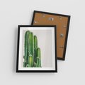 Plakat w ramie 40x50 - Minimalistyczne Kaktusy na Białym Tle - kaktusy, minimalistyczna fotografia - rama czarna