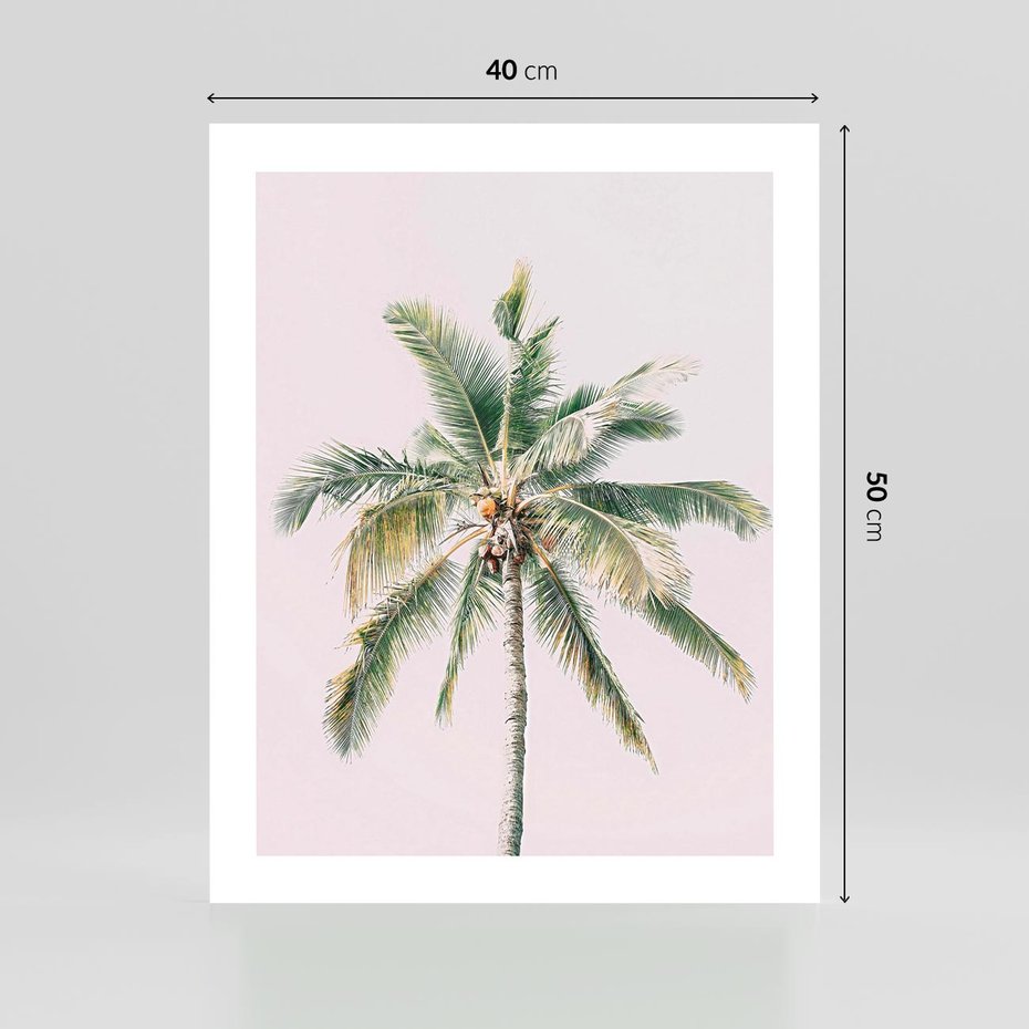 Plakat bez ramy 40x50 - Błogość Tropików - palma, tropiki