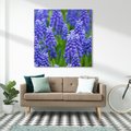 Obraz na płótnie 40x40 - Urok Lawendy - lawenda, kwiat