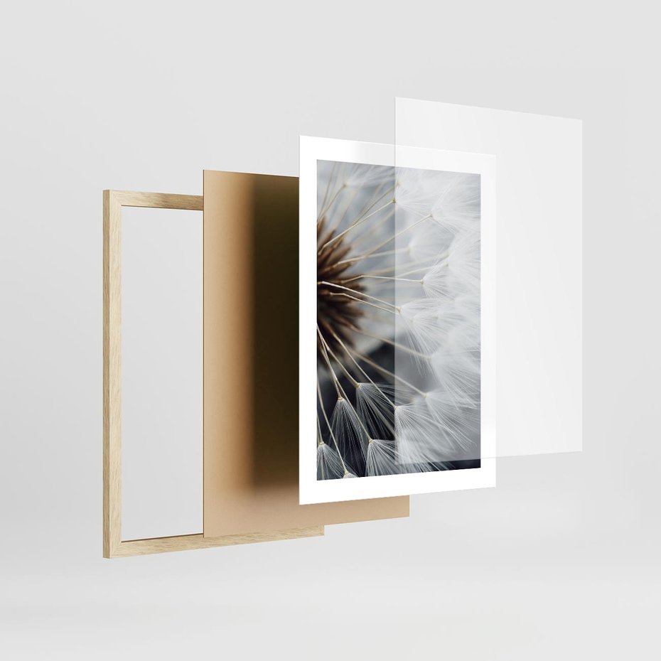 Plakat w ramie 30x40 - Dmuchawce w Naturze - dmuchawiec, zbliżenie - rama drewno
