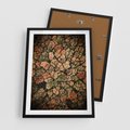 Plakat w ramie 50x70 - Jesień z Lotu Ptaka: Malowniczy Las - las jesienią z lotu ptaka - rama czarna