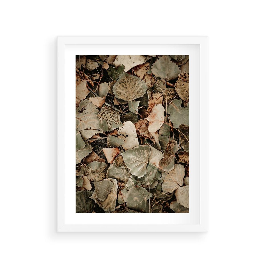 Plakat w ramie 30x40 - Magia Jesiennych Liści - liście, suche liście - rama biała