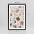 Plakat w ramie 50x70 - Morska Delikatność: Muszelki na Białym Tle - kompozycja, morskie muszelki na białym tle - rama czarna