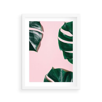 Plakat w ramie 30x40 - Minimalizm Natury - minimalizm, liście monstery - rama biała