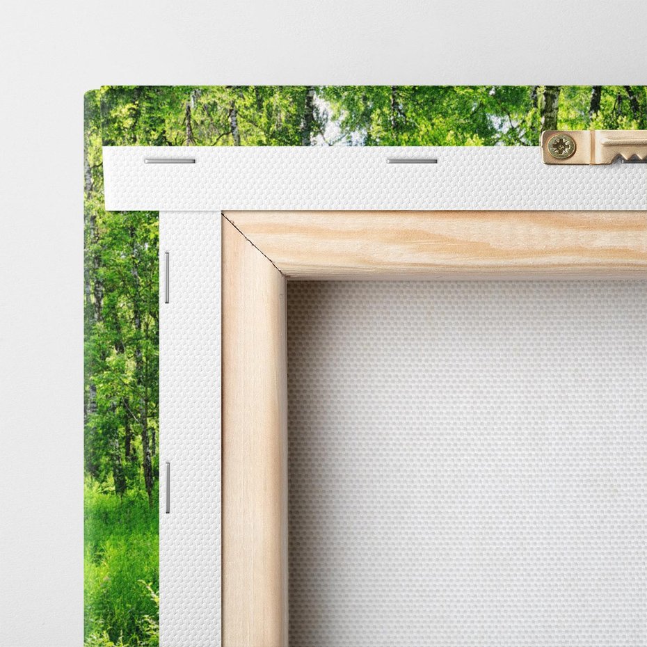 Obraz na płótnie 70x50 - odkryj piękno drzew - las, drzewa