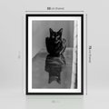 Plakat w ramie 50x70 - Kocie Oczy - kot, czarno białe zdjęcie - rama czarna