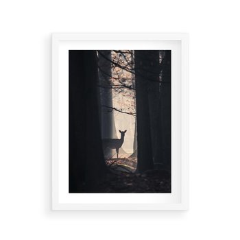 Plakat w ramie 30x40 - Sarnie Skoki - zdjęcie, klimatyczny las - rama biała