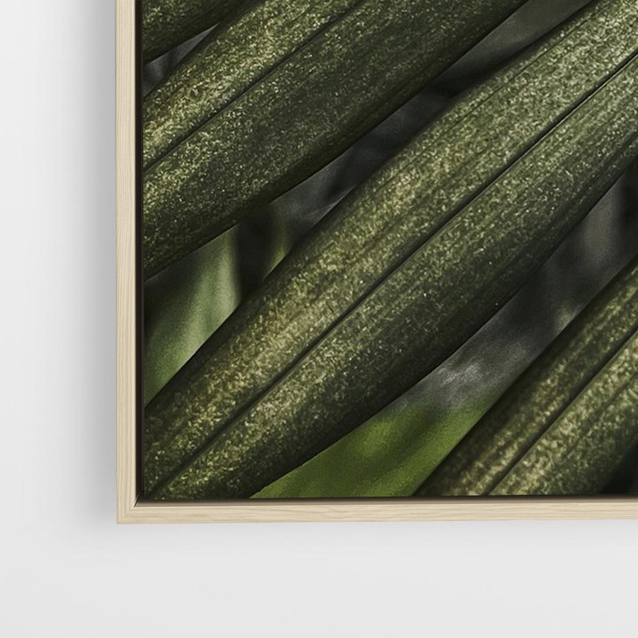 Obraz w ramie 70x50 - W Liściach Ukryte - zdjęcie, fotografia - rama drewno