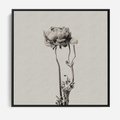 Obraz w ramie 50x50 - Cień Kwiatowej Delikatności - kwiat, cień - rama czarna