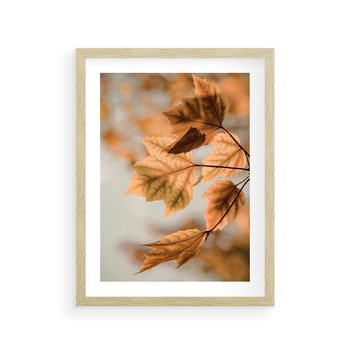 Plakat w ramie 30x40 - Magia Jesieni - liście, jesień - rama drewno