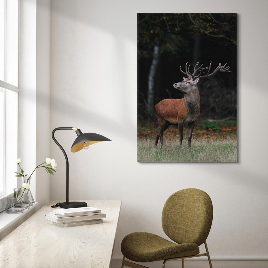 Obraz na płótnie 80x120 - Spotkanie z naturą - jeleń, las