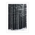 Plakat bez ramy 21x30 - Leśna Cisza: Malowniczy Pejzaż Zimą - las zimą, ośnieżone pnie drzew