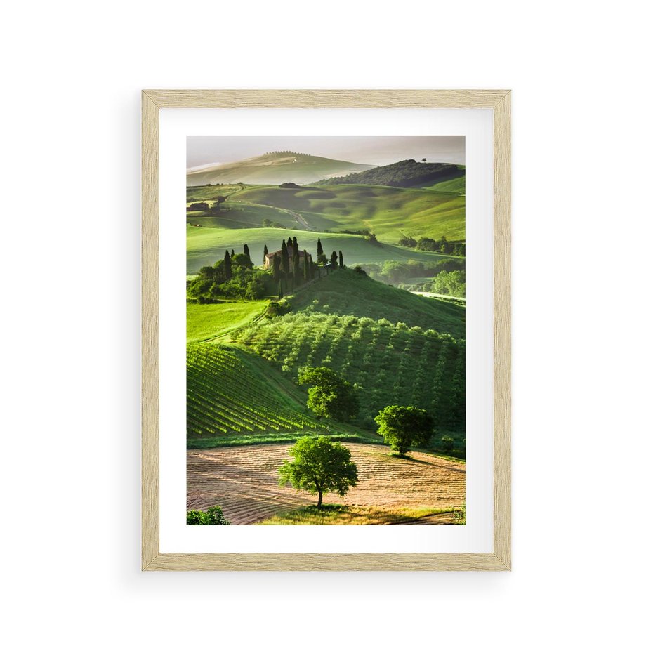 Plakat w ramie 30x40 - Prowansja: malownicze winnice w kraju Włoch - Prowansja, Włochy - rama drewno