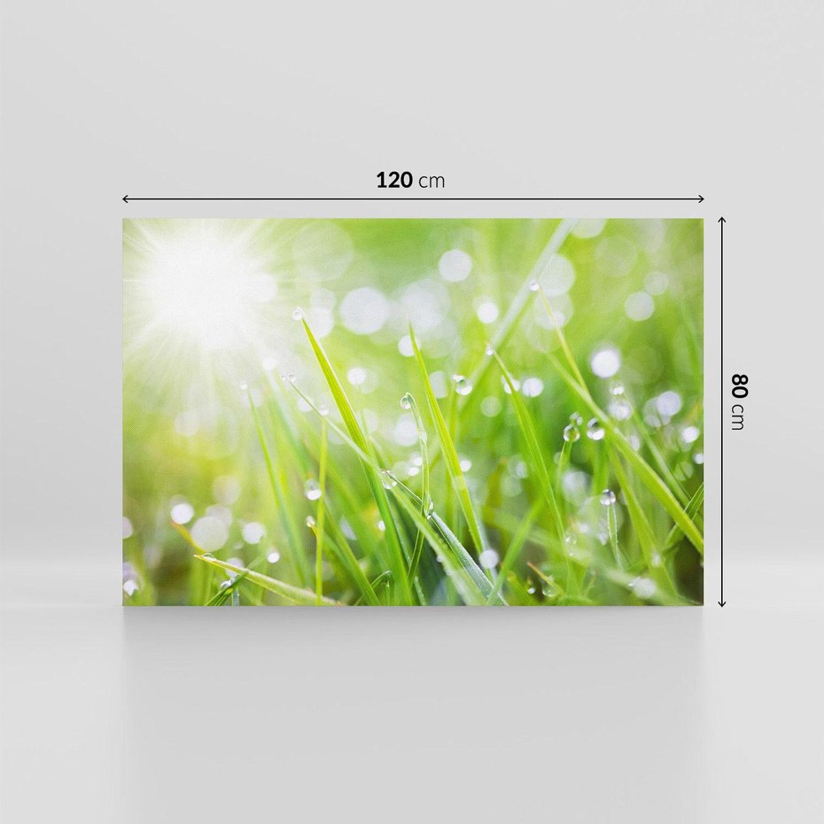 Obraz na płótnie 120x80 - Delikatna trawa pokryta rosą - trawa, rosa