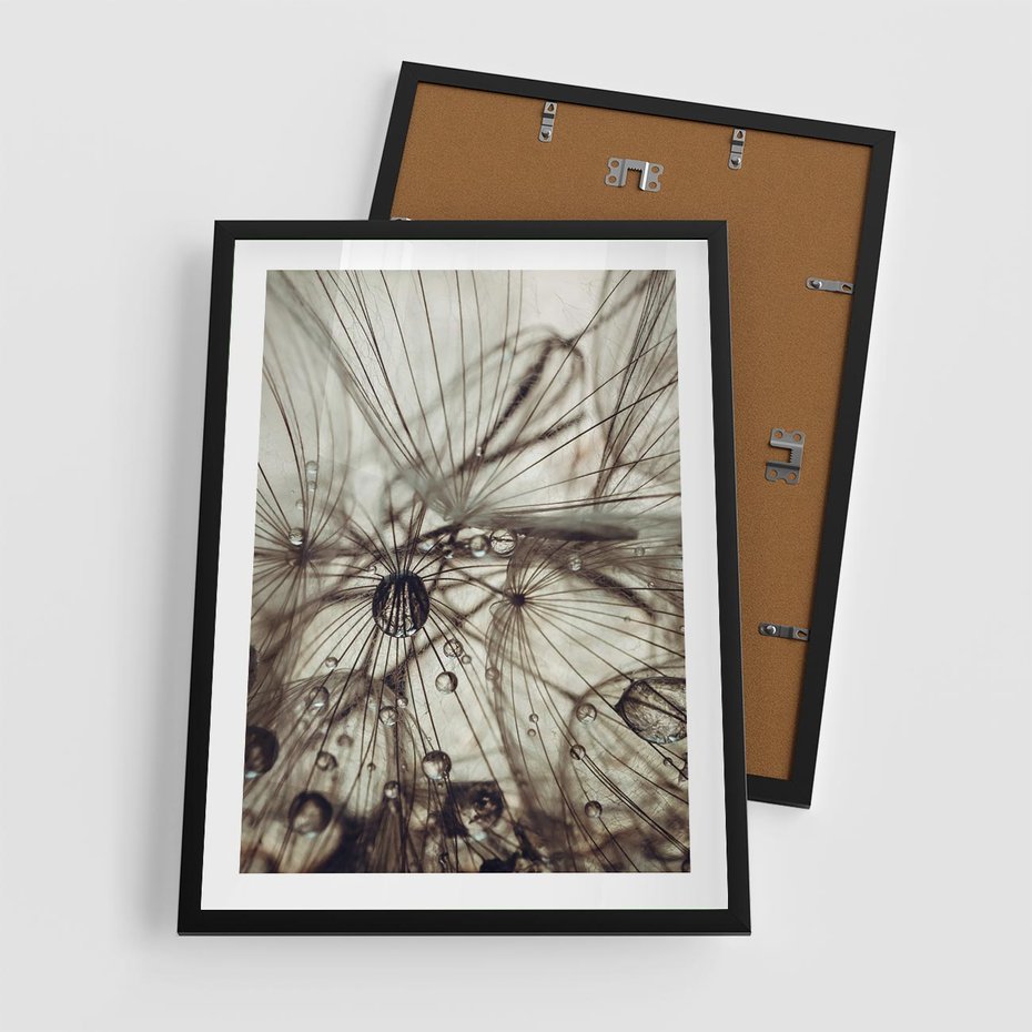 Plakat w ramie 50x70 - Lekkie dmuchawce - dmuchawce, krople - rama czarna