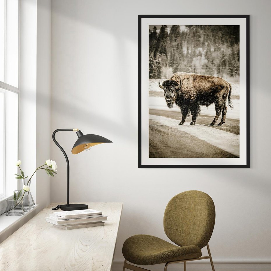 Plakat w ramie 30x40 - Spotkanie z Żubrem na Leśnej Drodze - żubr, las - rama czarna