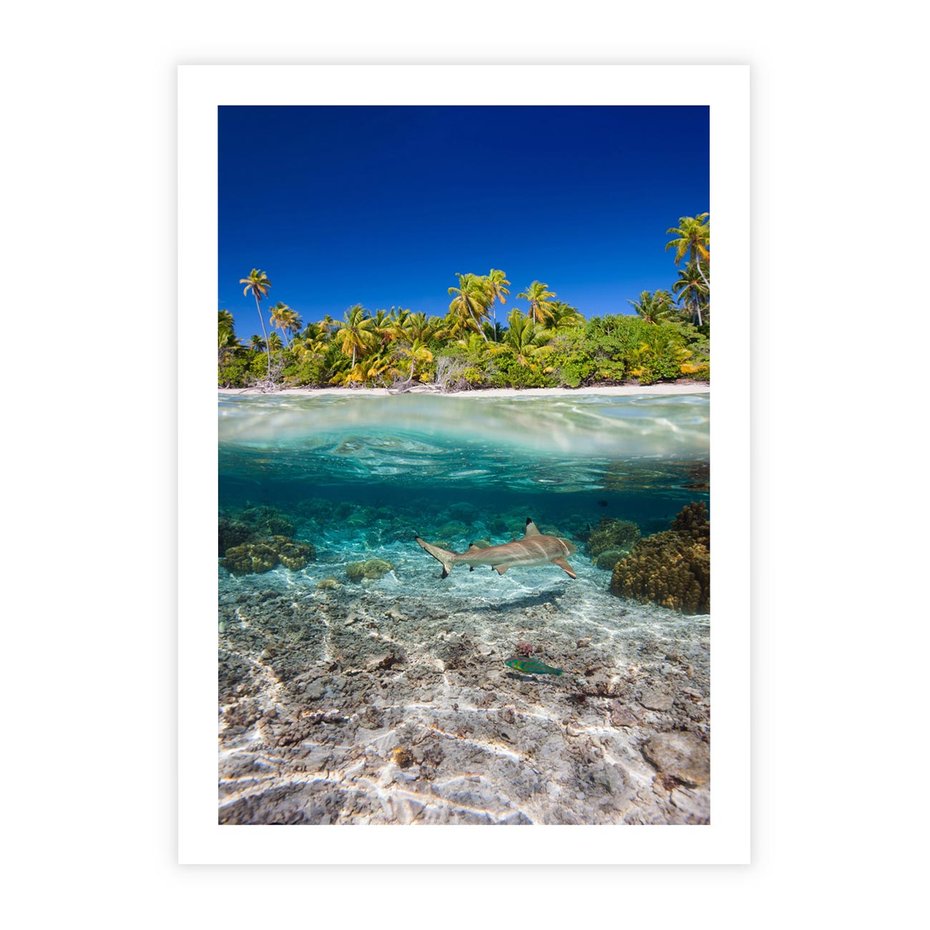 Plakat bez ramy 30x40 - Tropikalne Morze i Kolorowa Rafa - tropikalne, morze
