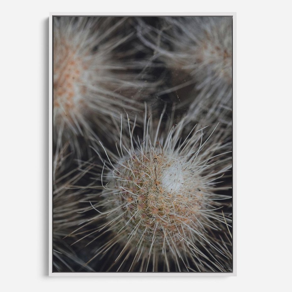 Obraz w ramie 70x100 - Ulotna Piękność Natury - makro, dmuchawce - rama biała