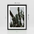 Plakat w ramie 30x40 - Boho oaza wśród kaktusów - kaktusy, pustynia - rama czarna