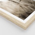 Plakat w ramie 30x40 - Kłosy Pszenicy w Sepii - zboże, kłos pszenicy - rama drewno