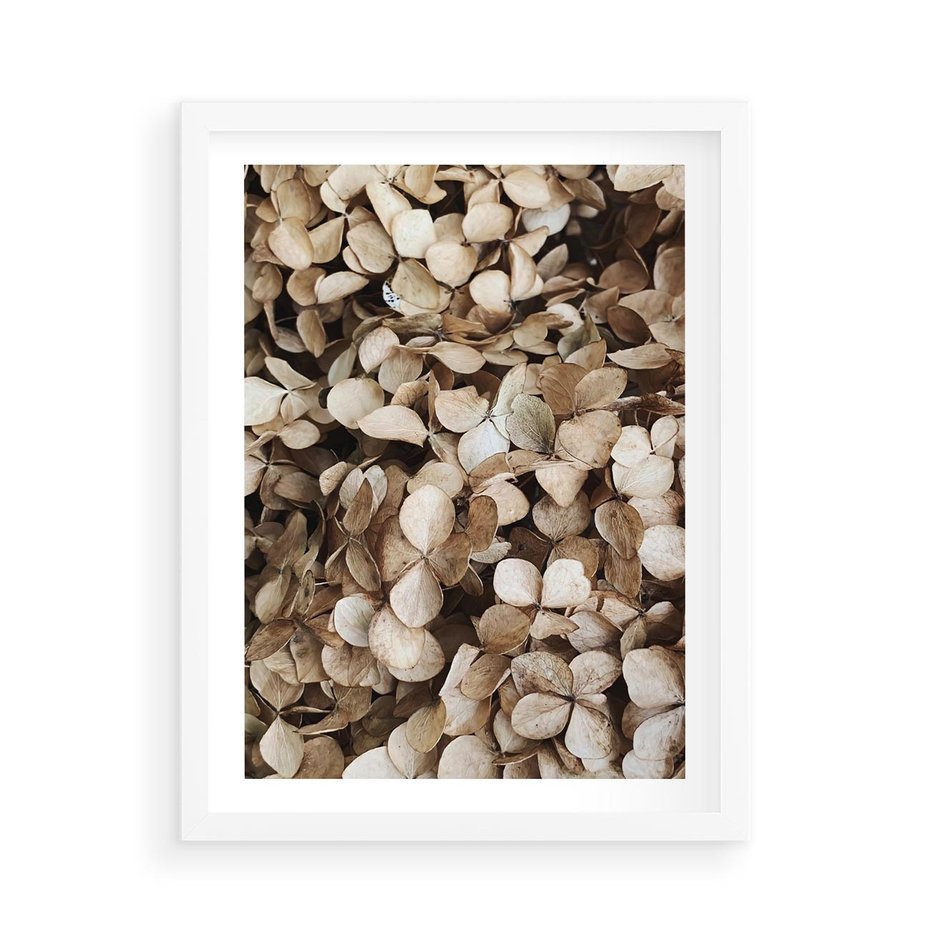 Plakat w ramie 50x70 - Delikatność Hortensji: Kompozycja Kwiatów w Beżu - hortensja, odcienie beżu - rama biała