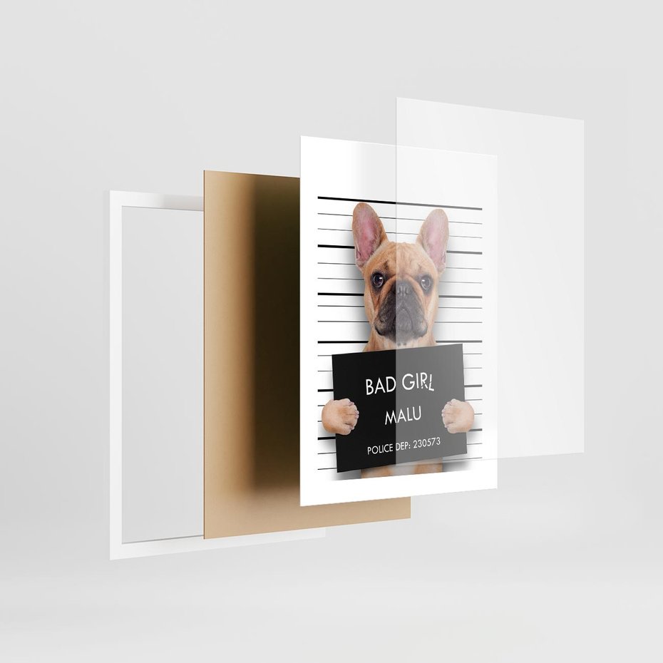 Plakat w ramie 30x40 - przyjaciel na zawsze - pies, piesek - rama biała