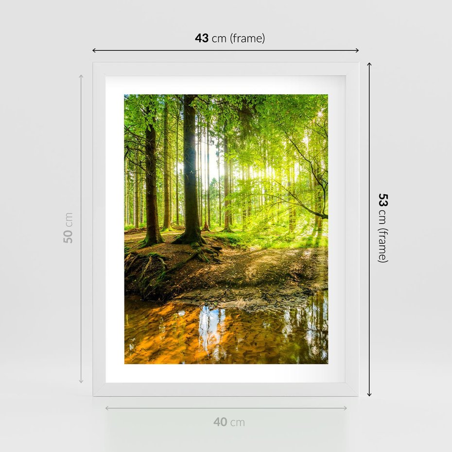 Plakat w ramie 40x50 - Las nad Wodą - las, woda - rama biała
