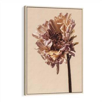 Obraz w ramie 80x120 - Delikatne piękno - suche, kwiaty - rama drewno