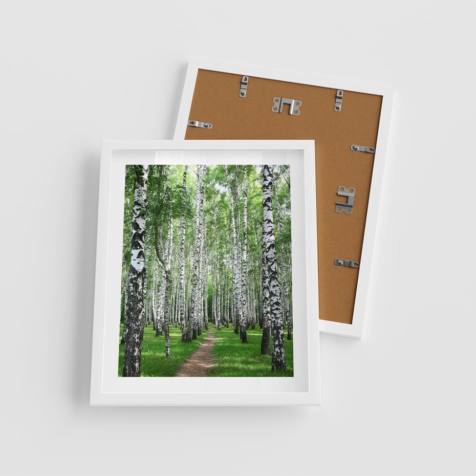 Plakat w ramie 40x50 - Magia lasu pełnego brzóz - las, brzozy - rama biała