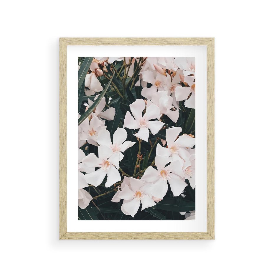 Plakat w ramie 30x40 - Egzotyczna Uroda - białe kwiaty, tropikalne kwiaty - rama drewno