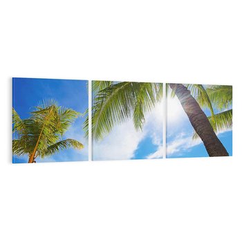 Obraz na płótnie 150x50 - Tropikalne palmy nad oceanem - palmy, ocean