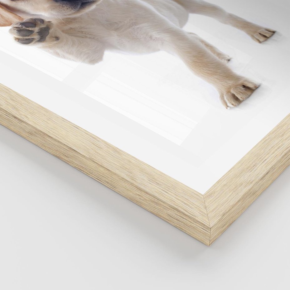 Plakat w ramie 30x40 - Szczeniak pełen radości - piesek, szczeniak - rama drewno