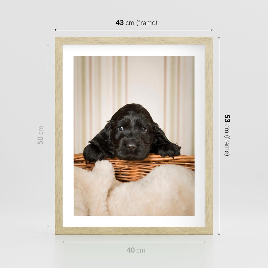 Plakat w ramie 40x50 - Uroczy szczeniak w akcji - piesek, szczeniak - rama drewno