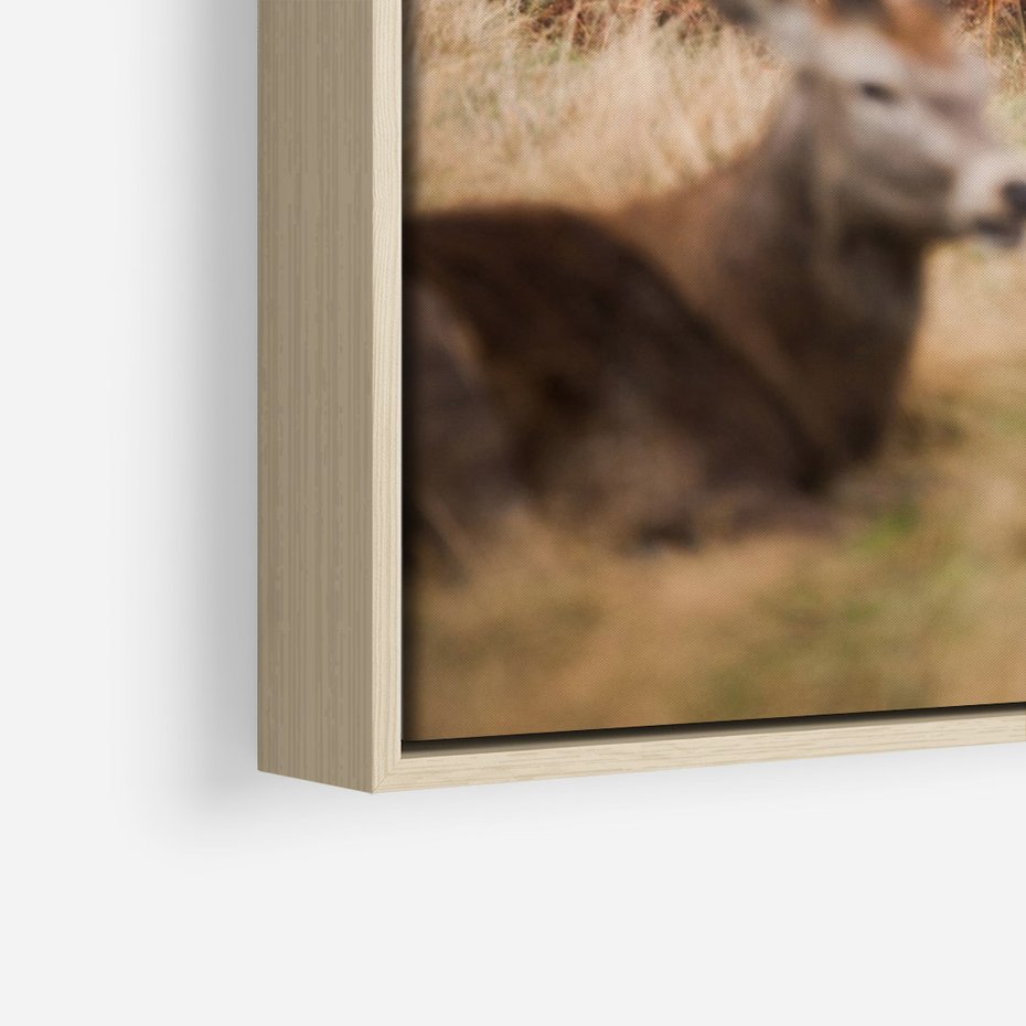 Obraz w ramie 70x100 - Malownicza Harmonia - jelenie, jesień - rama drewno