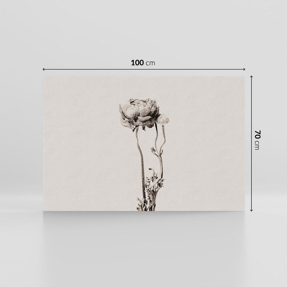 Obraz na płótnie 100x70 - Kwiatowa Symfonia w Szarościach - czarno biała odbitka, jak fotografia