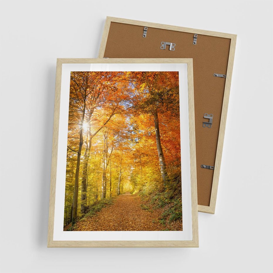 Plakat w ramie 50x70 - Złote barwy jesiennego lasu - las, jesień - rama drewno