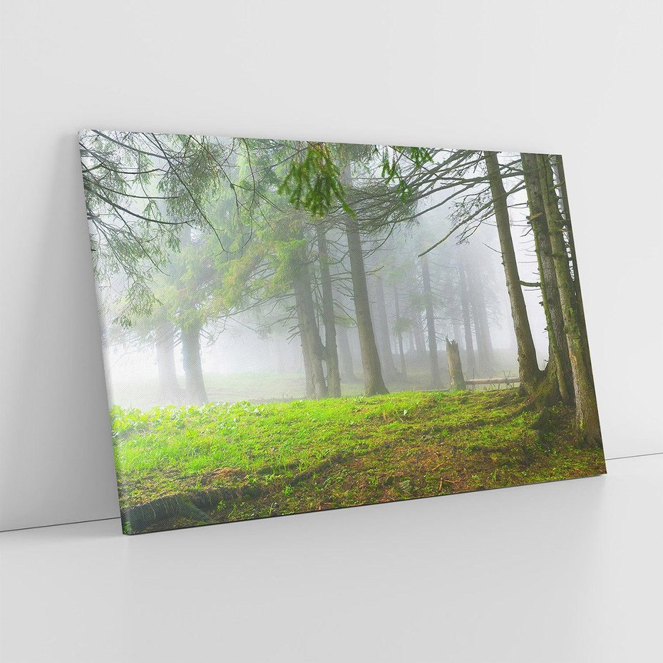 Obraz na płótnie 120x80 - Drzewa w harmonii - las, drzewa