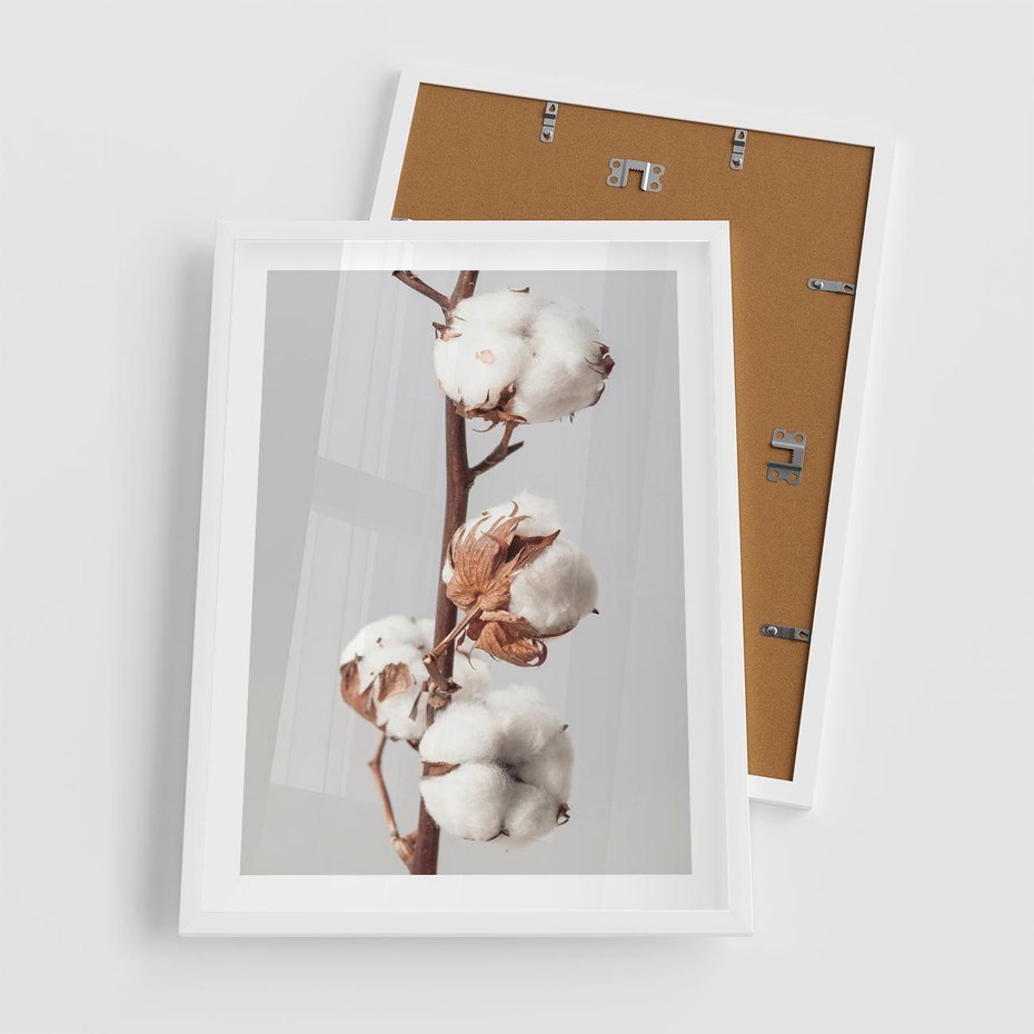 Plakat w ramie 50x70 - Spokojna Gałązka Bawełny - gałązka bawełny, prosta spokojna fotografia - rama biała