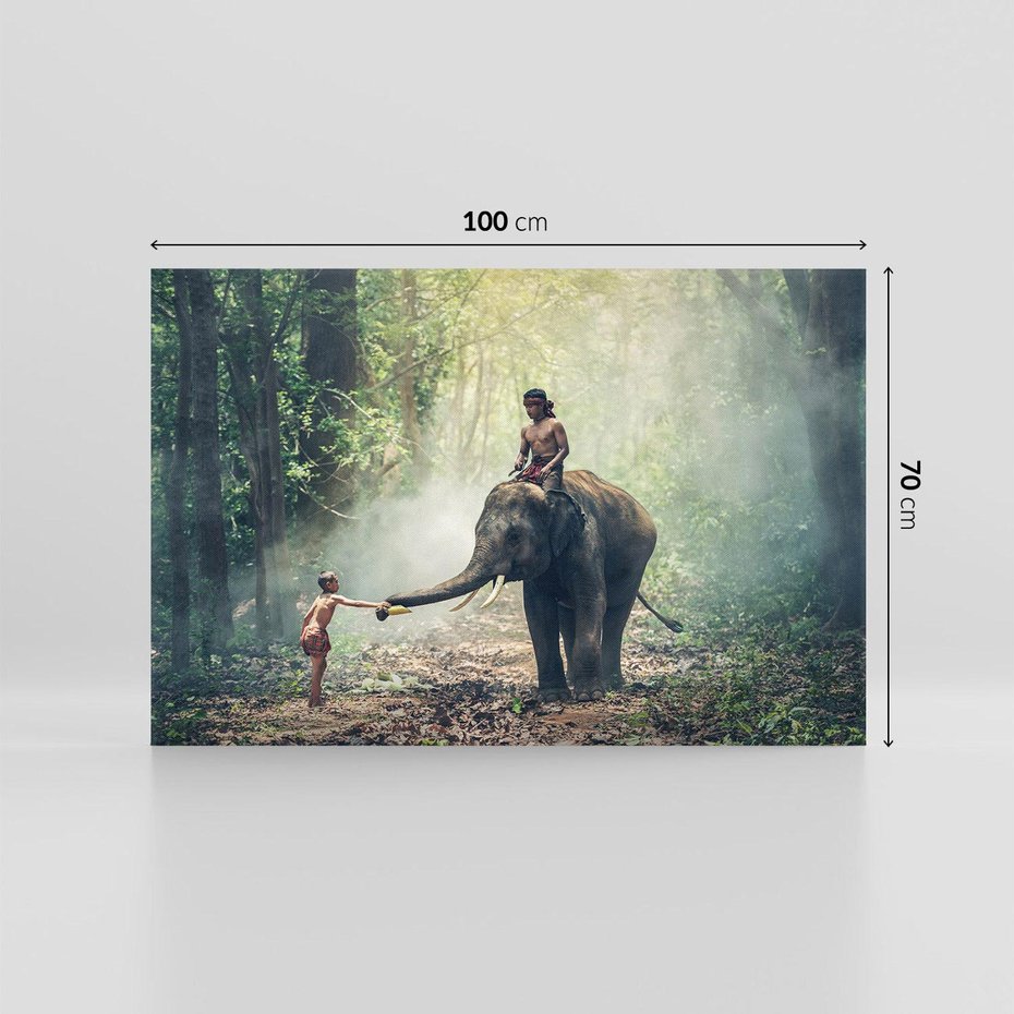 Obraz na płótnie 100x70 - Mistyfikacja w azjatyckim lesie - Azja, słoń